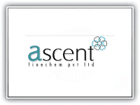 Client 5